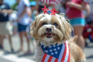 4th of July Fireworks