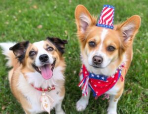 4th of July Fireworks