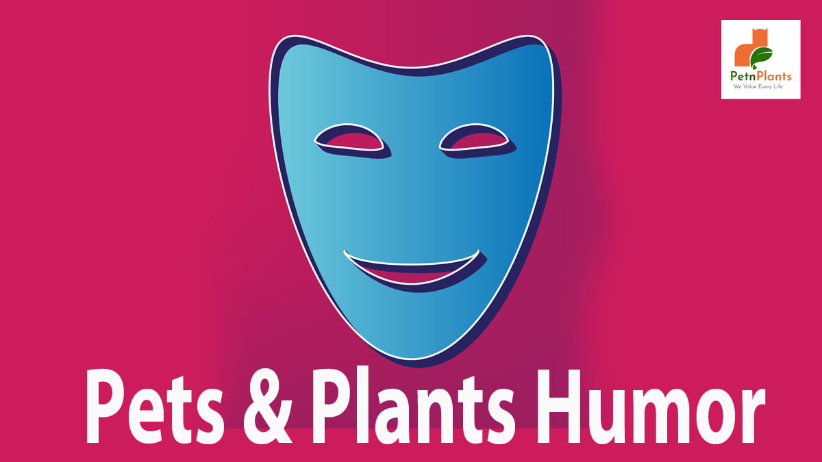 Pets and Plants Humor