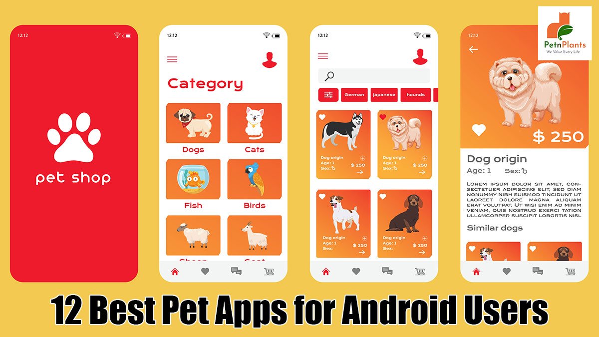 12 Best Pet Apps for Android Users