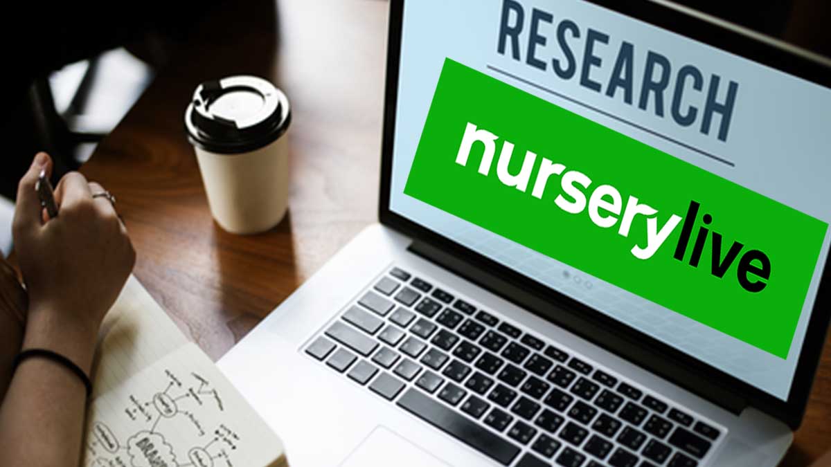 Nurserylive Research Report