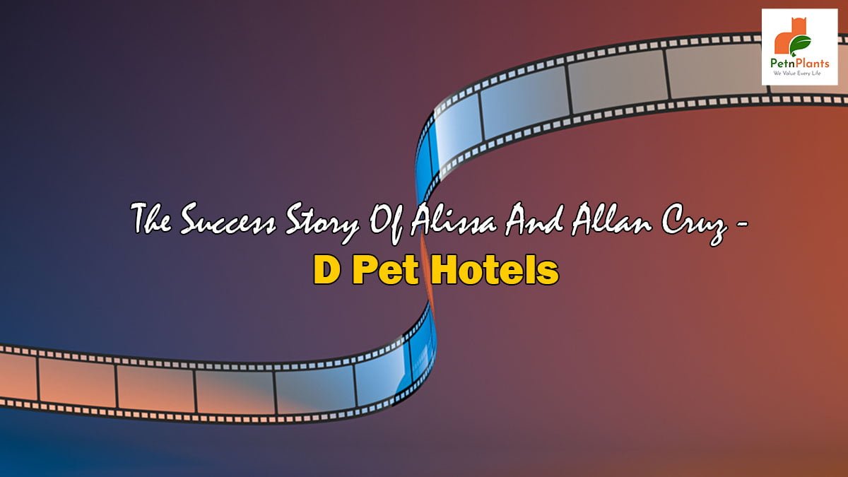 The Success Story of Alissa and Allan Cruz – D Pet Hotels