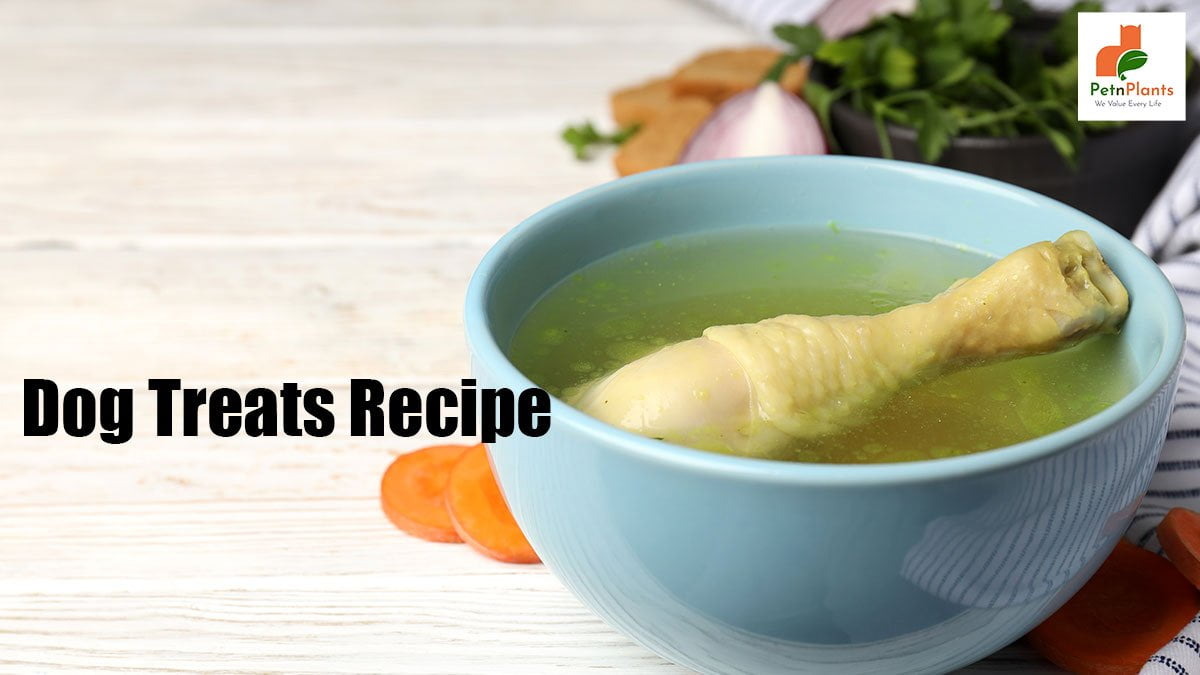 How to Make Dog Treats Recipe