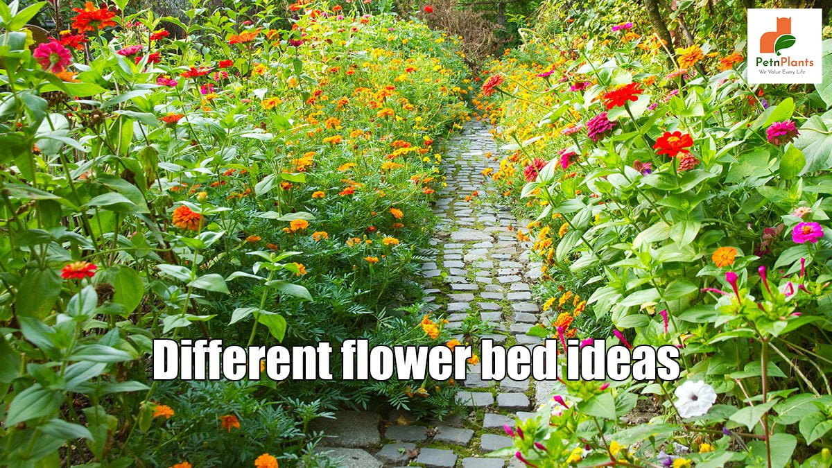 5 Amazing Flower Bed Ideas