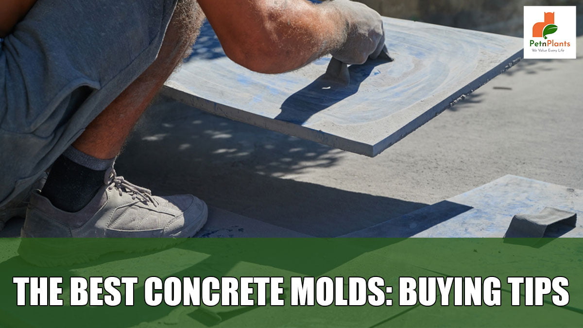 concrete-molds