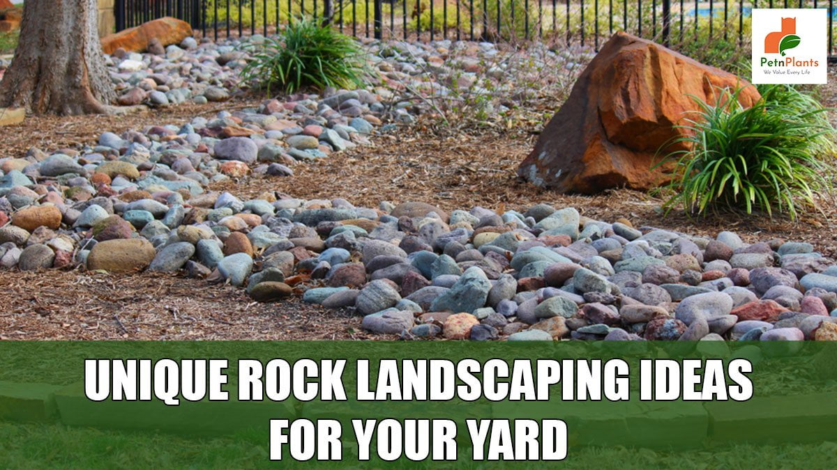 rock-landscaping