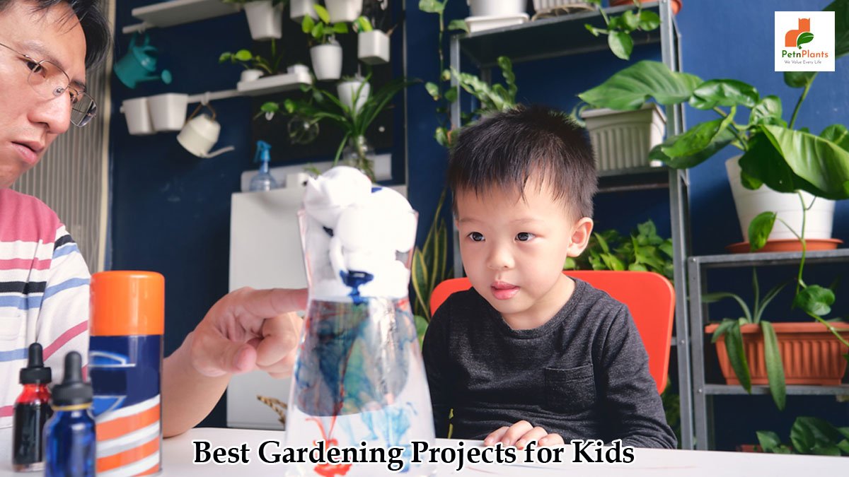 Gardening Project for kids
