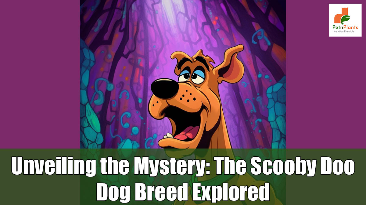Unveiling the Mystery: The Scooby Doo Dog Breed Explored