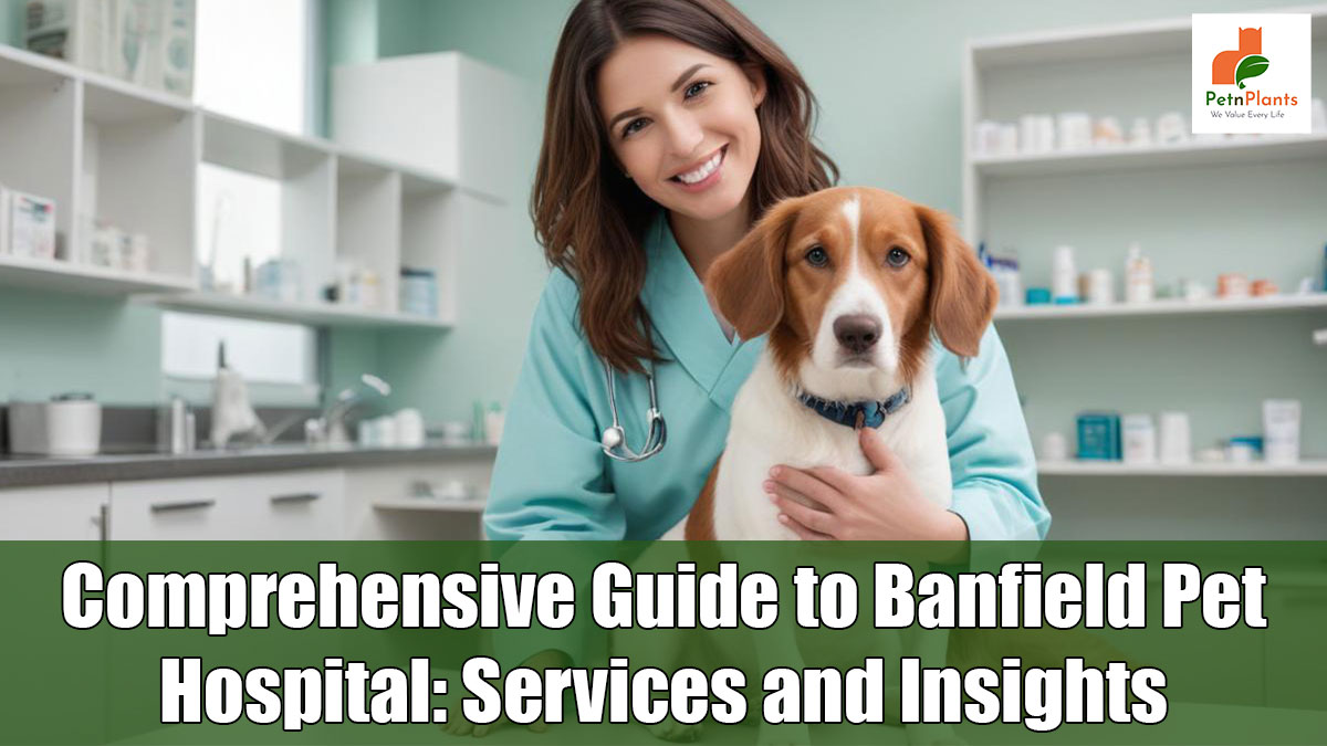 Guide to Banfield Pet Hospital: Services and Insights
