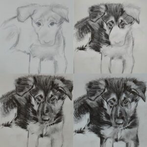 dog-drawing