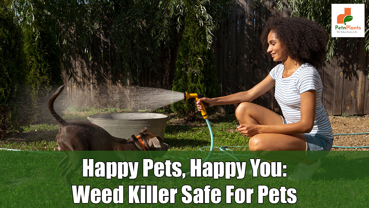 Happy Pets, Happy You: Weed Killer Safe for Pets