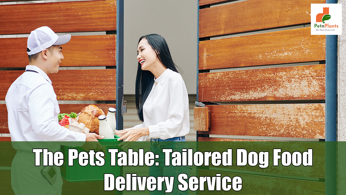 The Pets Table: Tailored Dog Food Delivery Service - Pet N Plants