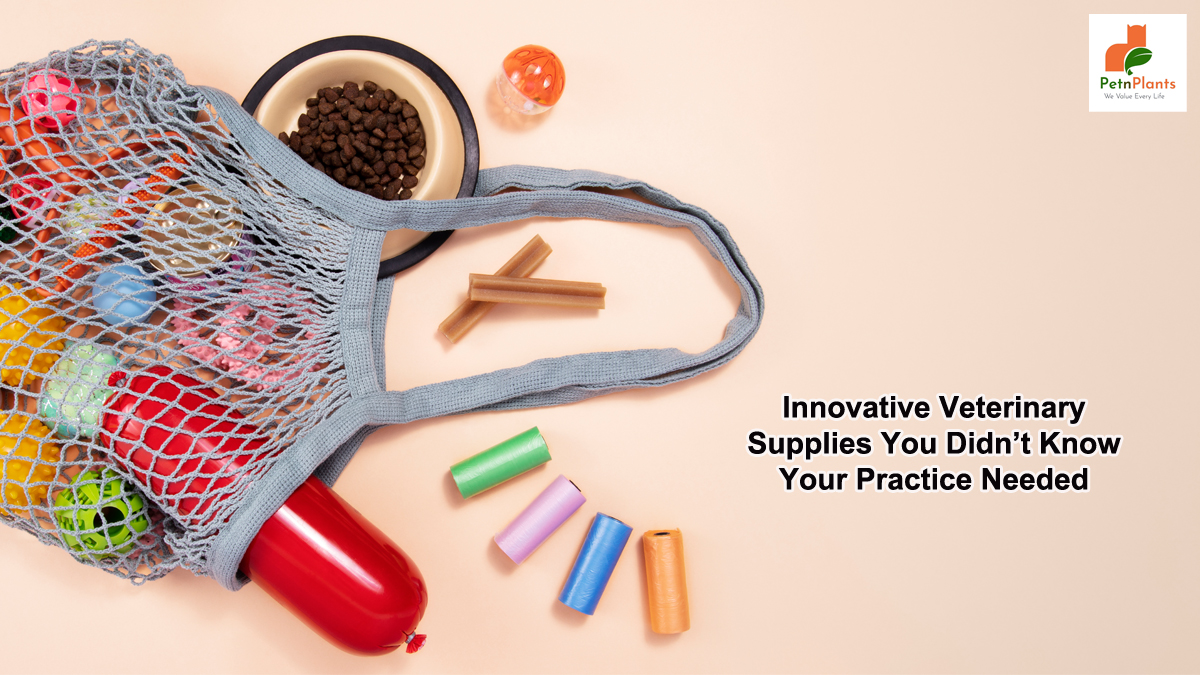 Innovative Veterinary Supplies You Didn’t Know Your Practice Needed - Pet N Plants