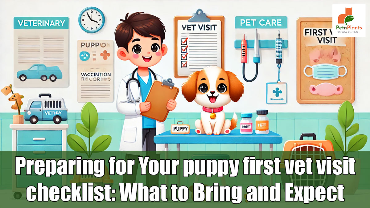 Preparing for Your puppy first vet visit checklist: What to Bring and Expect