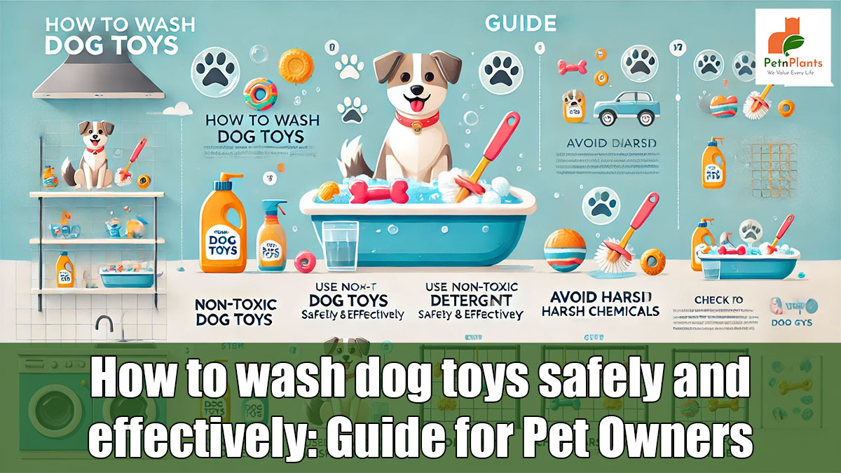 How to wash dog toys safely and effectively: Guide for Pet Owners